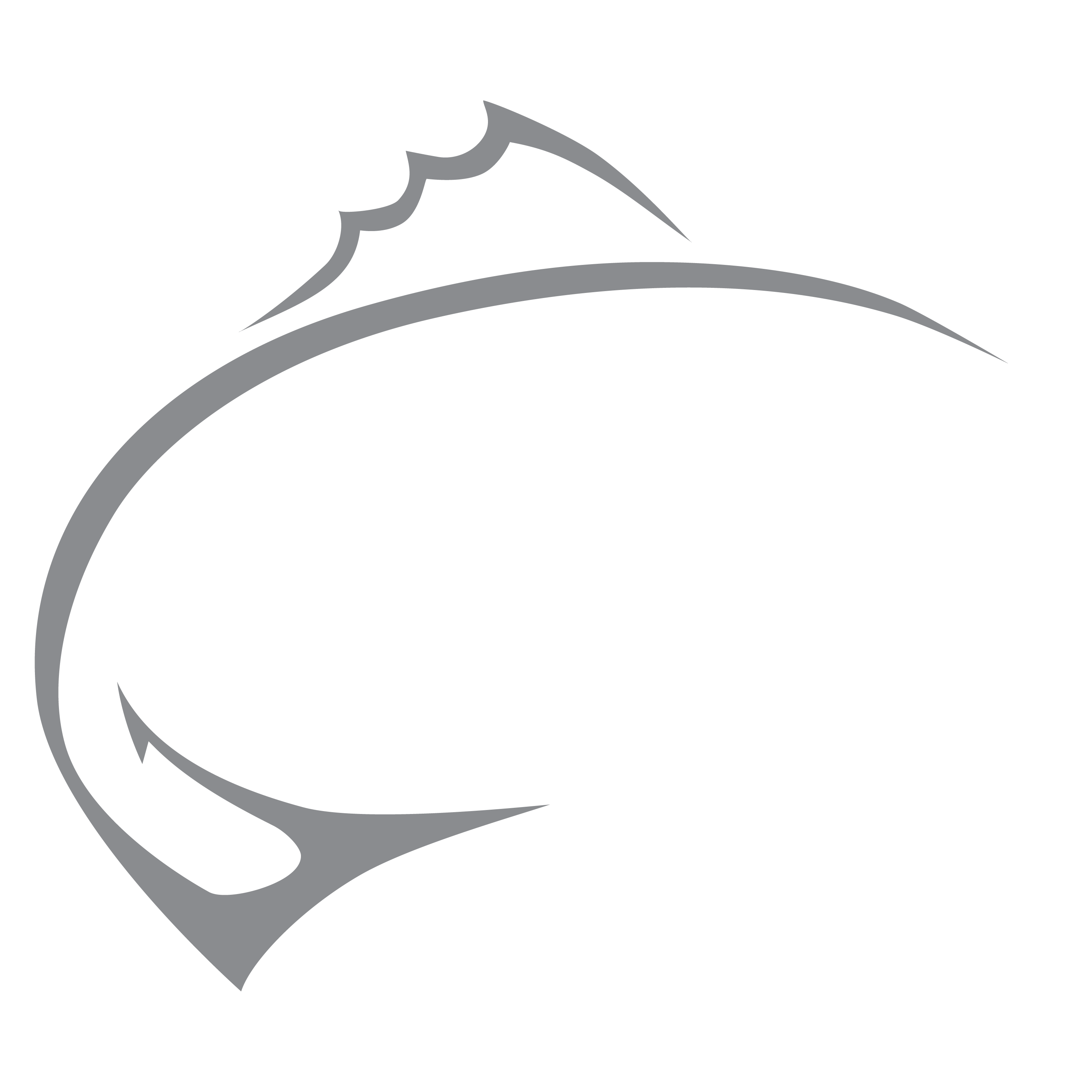 Elliott Rods